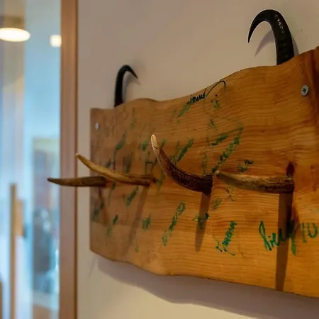 A Saint Moritz With Sauna Privata 木屋 蓬特雷西纳